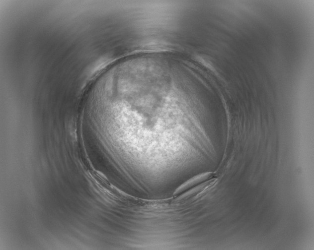 X0000053081451200507251513