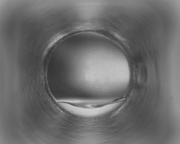 X0000053081453200507251513