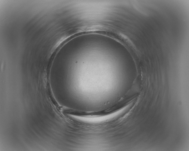X0000053081457200507251513