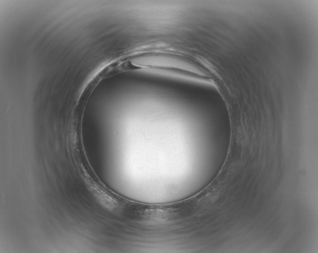 X0000053081458200507251513