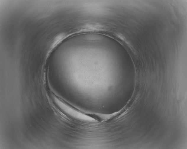 X0000053081459200507251513