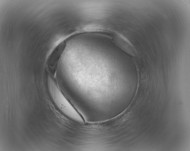 X0000053081461200507251513