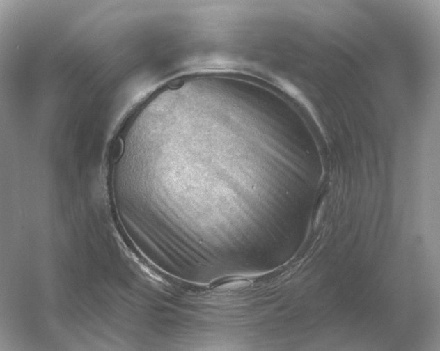 X0000053081464200507251513