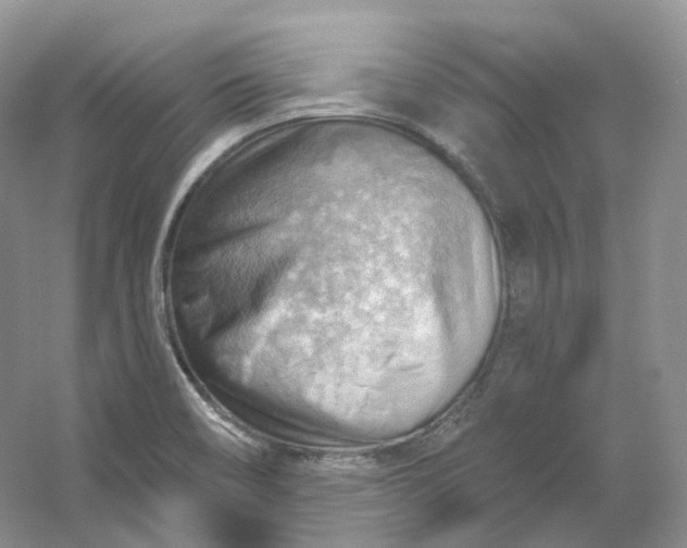 X0000053081466200507251513