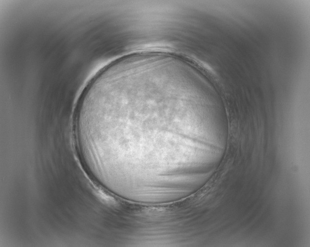X0000053081470200507251513