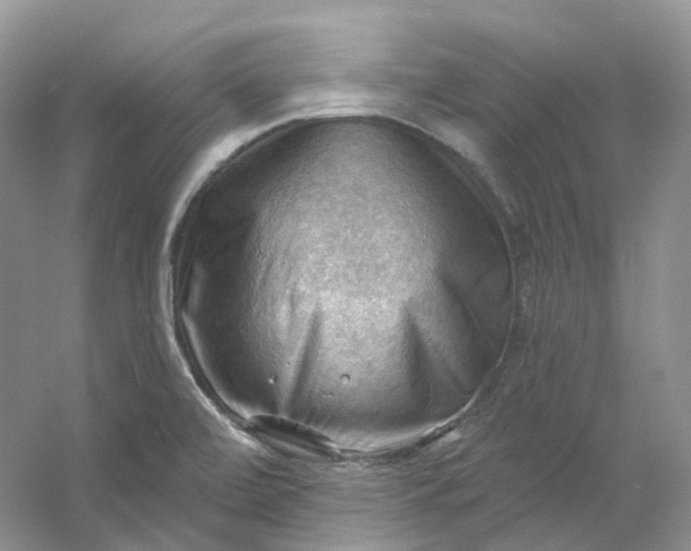 X0000053081472200507251513