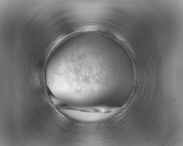 X0000053081473200507251513