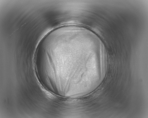 X0000053081474200507251513