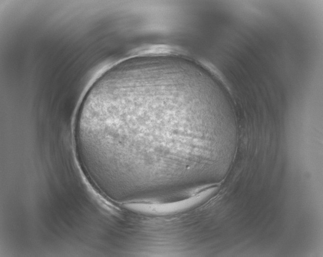X0000053081475200507251513