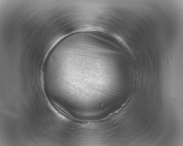 X0000053081476200507251513