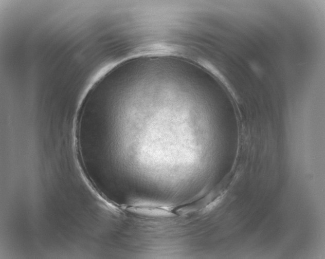 X0000053081477200507251513
