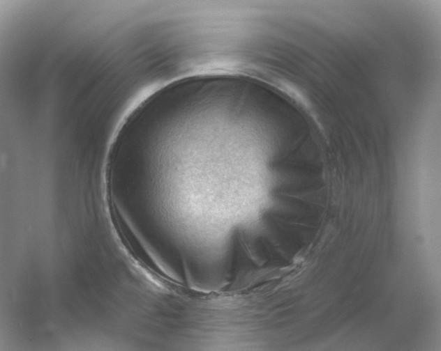 X0000053081480200507251513