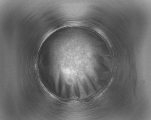 X0000053081481200507251513