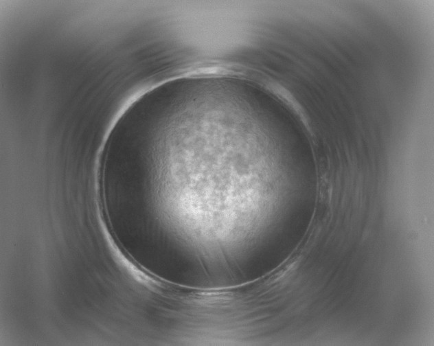 X0000053081483200507251513