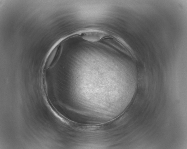 X0000053081484200507251513