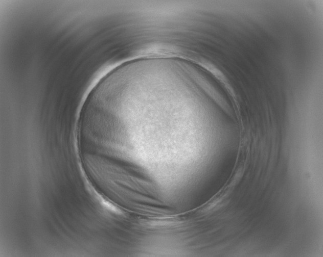 X0000053081486200507251513