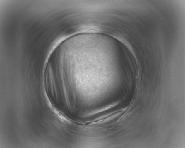 X0000053081488200507251513