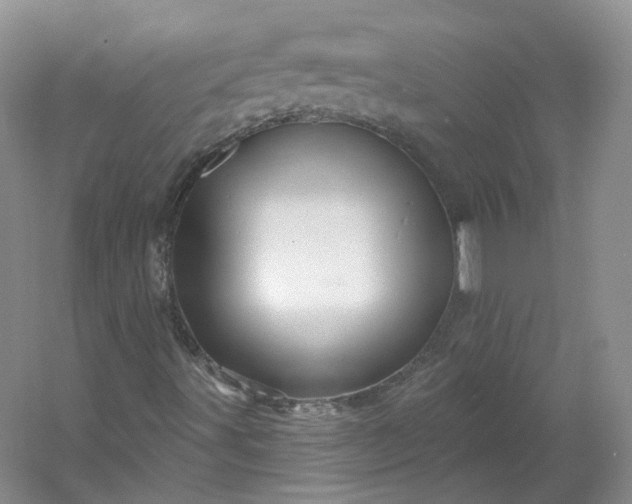 X0000053081491200507251512