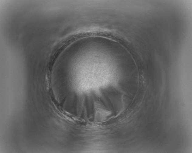 X0000053081493200507251512