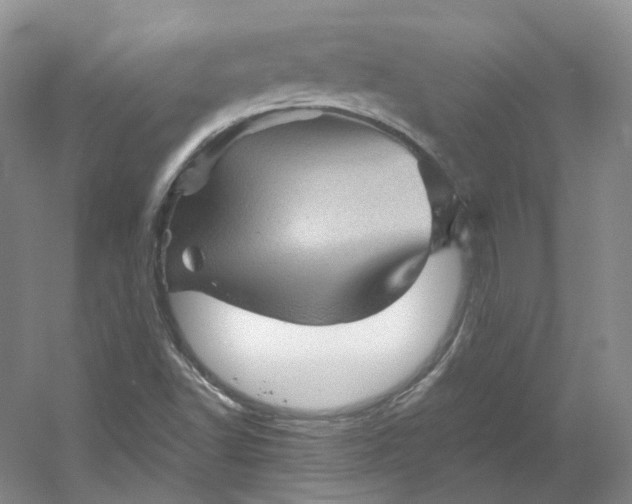 X0000053081502200507251512