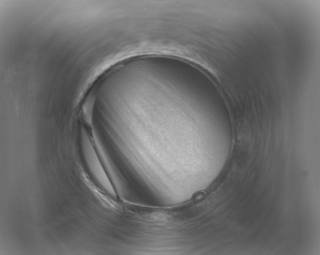 X0000053081507200507251512