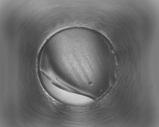 X0000053081508200507251512