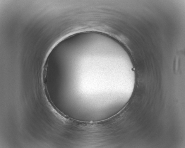 X0000053081516200507251512