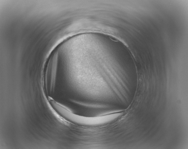 X0000053081523200507251512