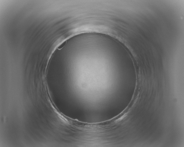 X0000053081529200507251512