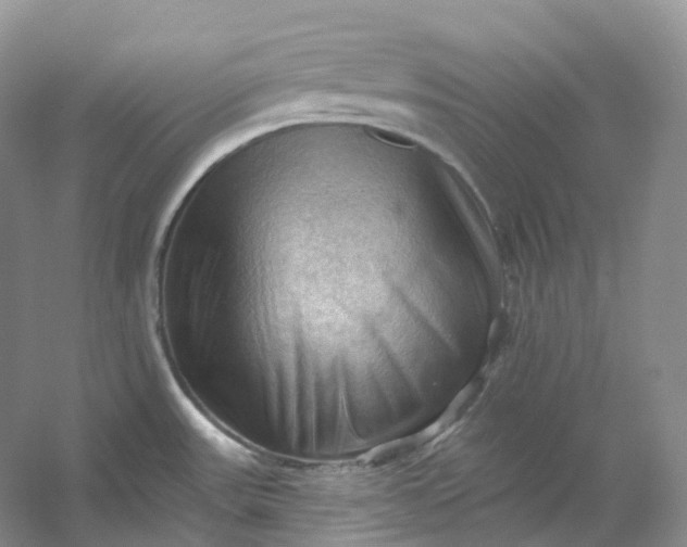 X0000053081531200507251512