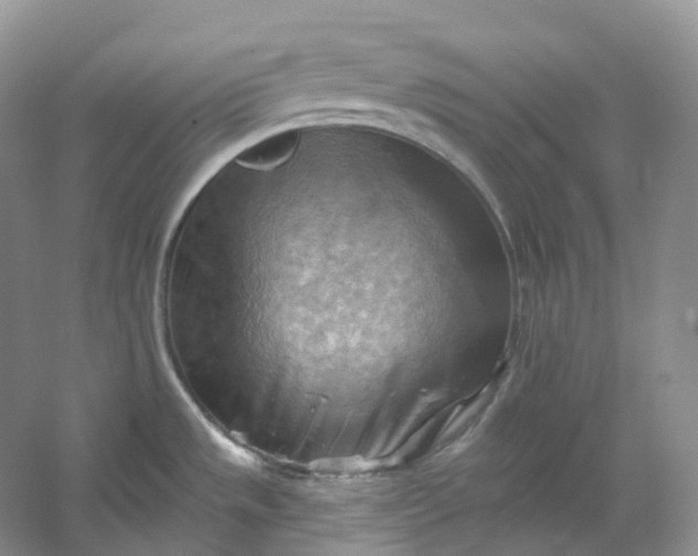 X0000053081533200507251512