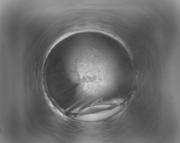 X0000053081534200507251512