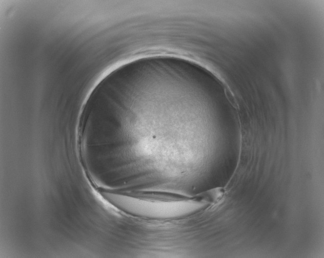 X0000053081535200507251512
