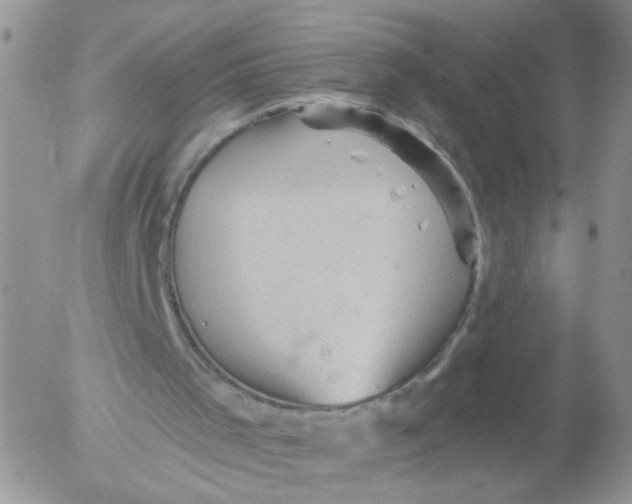 X0000053080001200508012018