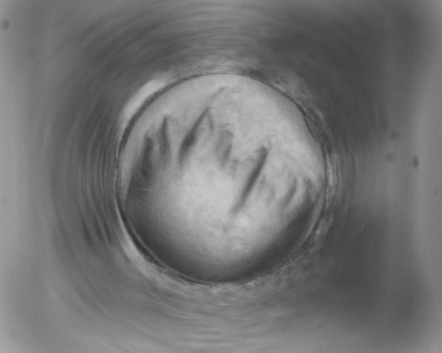 X0000053080003200508012018