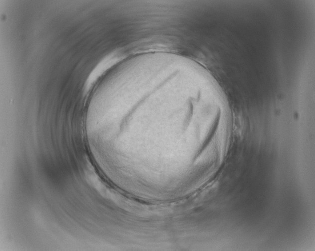 X0000053080004200508012018