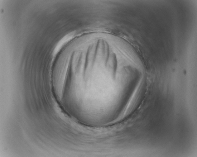 X0000053080006200508012018