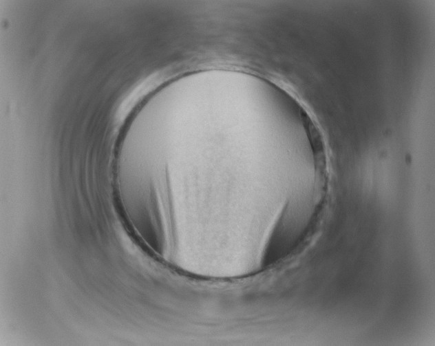 X0000053080007200508012018