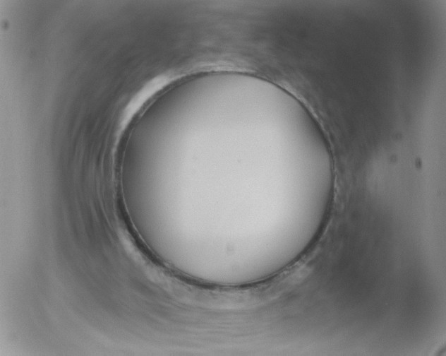 X0000053080008200508012018