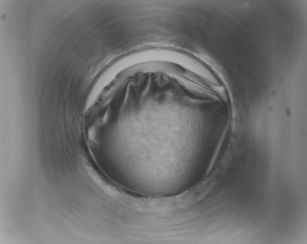 X0000053080009200508012018