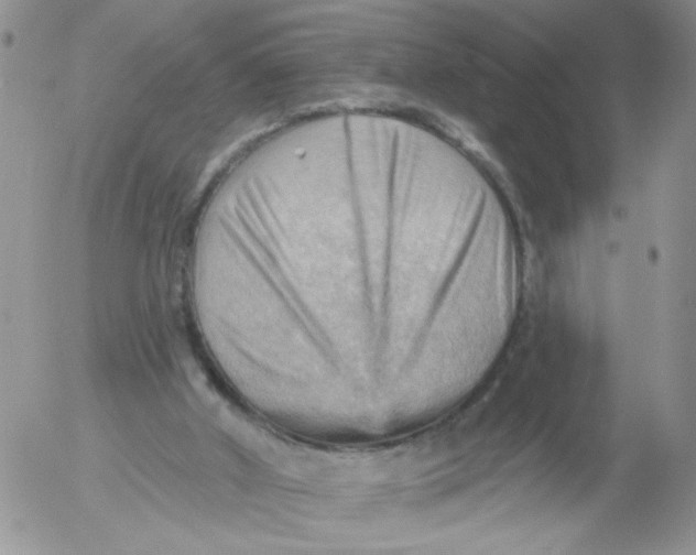 X0000053080010200508012018