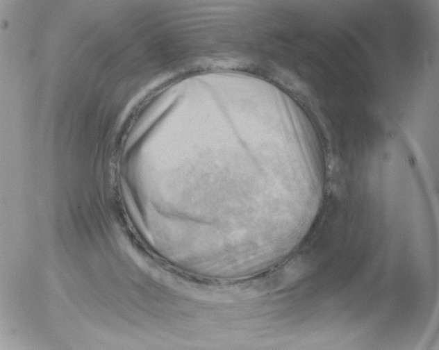 X0000053080012200508012018