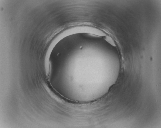 X0000053080013200508012018