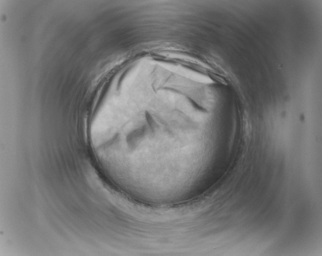 X0000053080014200508012018