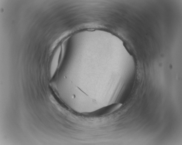 X0000053080015200508012018