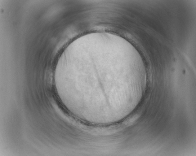 X0000053080016200508012018