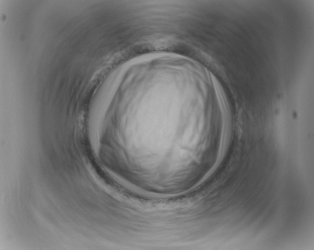 X0000053080018200508012018