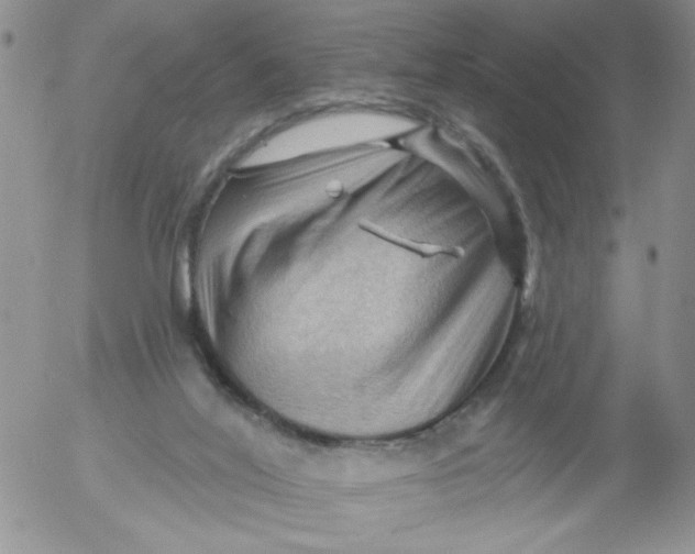 X0000053080020200508012018