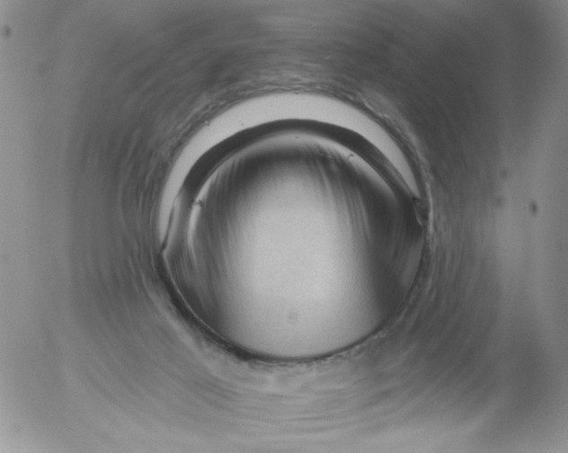 X0000053080021200508012018