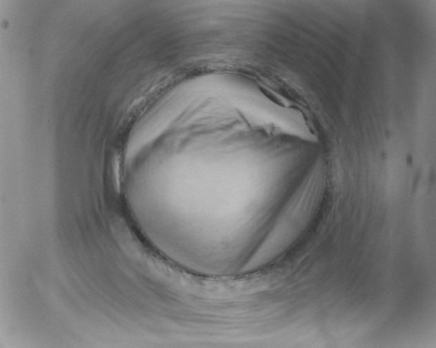 X0000053080022200508012018